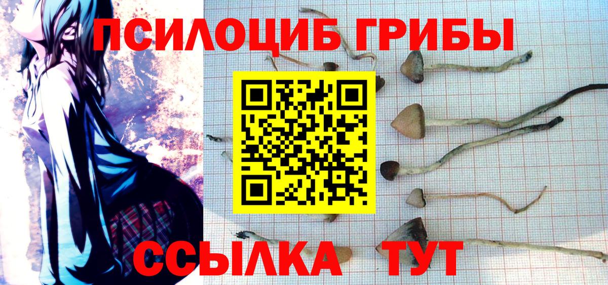 Псилоцибиновые грибы MAGIC MUSHROOMS  Псилоцибиновые грибы ЛСД  Вход с VPN  хочу наркоту  Фролово 